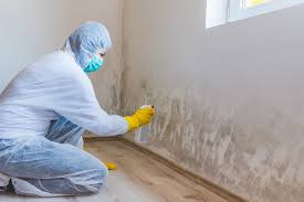 Mold Remediation for Vacation Homes in Hildale, UT