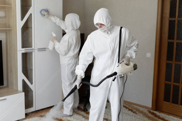 Forensic Mold Investigation in Hildale, UT